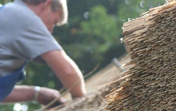 professional Stoke Edith thatchers